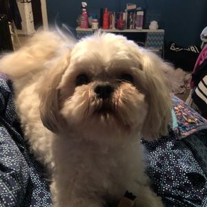 Meet your Posher, Stacey